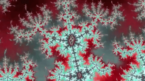 Benoit Mandelbrot Lsd GIF by xponentialdesign