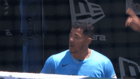 Lets Go Win GIF by Toronto Blue Jays