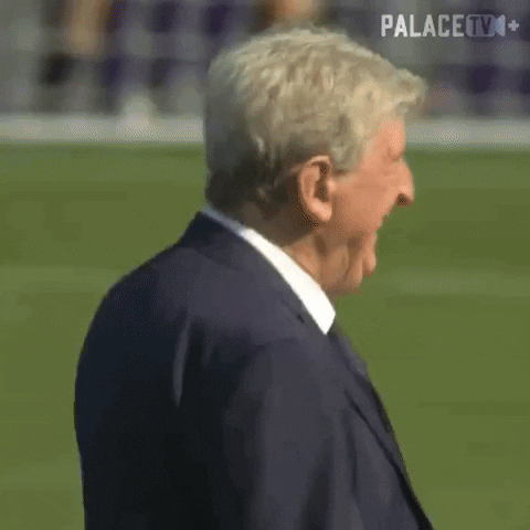 Premier League Hug GIF by Crystal Palace Football Club