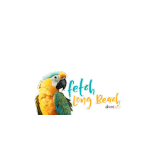 dvm360  Sticker
