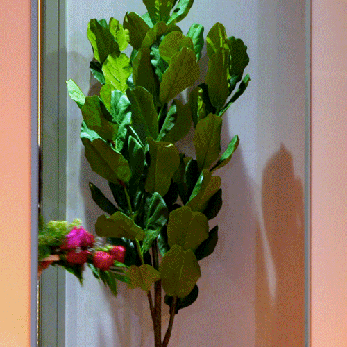I Love You Flowers GIF by Lifetime