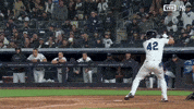The Martian Baseball GIF by YES Network