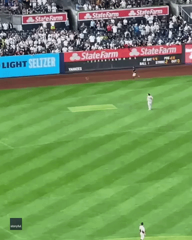 Crowd Cheers as Loose Cat Evades Capture During Yankees Game