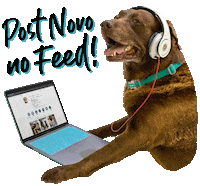 News Post Sticker by Bono Surf Dog