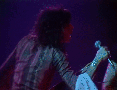 Steven Tyler 1970S GIF by Aerosmith