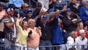 Happy Blue Jays GIF by Toronto Blue Jays