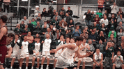 Iwutitans Tgoe GIF by iwusports
