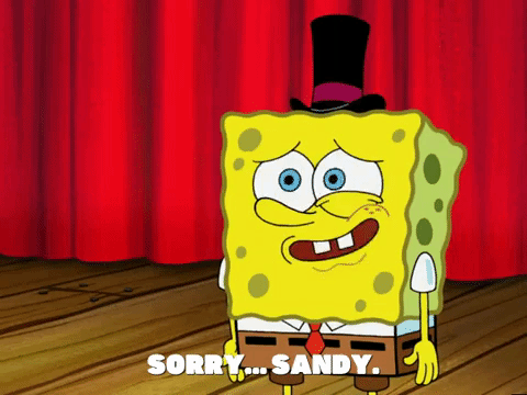 season 5 GIF by SpongeBob SquarePants