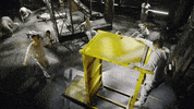 Run Jump GIF by Jamie Wilson Productions
