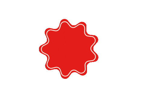 werkkunstschule giphyupload wks werkkunstschule wksblume Sticker