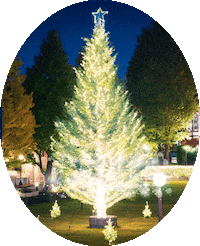 MEIJIGAKUINUNIVERSITY christmas christmastree クリスマス 木 Sticker