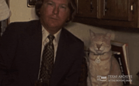 Home Movie Cat GIF by Texas Archive of the Moving Image