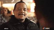 Episode 11 Smiling GIF by Law & Order