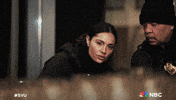 Episode 14 Nbc GIF by Law & Order