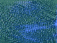 Once In A Lifetime GIF by Talking Heads