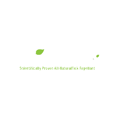 organtick lyme ticks organtick Sticker