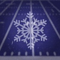 Buffalo Bills Football GIF by West Herr