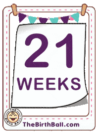 Ultrasound Expecting Sticker by The Birth Ball