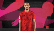 Fc Bayern Thumbs Up GIF by Bundesliga