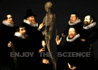 Pop Art GIF by Xinanimodelacra