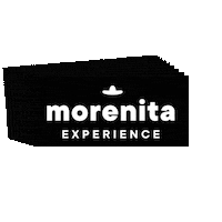 Traveling Mexico City Sticker by Morenita Experience