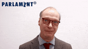 Eu Parlament Wow GIF by Studio Hamburg Serienwerft GmbH