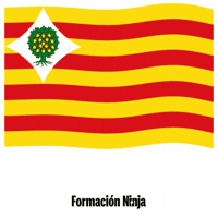 Flag Spain GIF by Formación Ninja