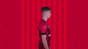 Football Celebrating GIF by AFC Bournemouth