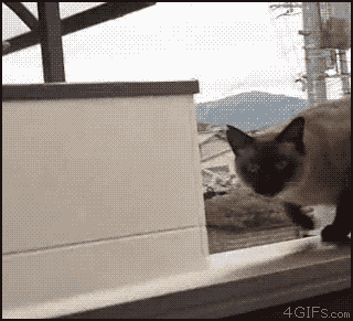 jumping new york GIF