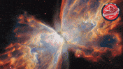 James Webb Butterfly GIF by ESA Webb Space Telescope