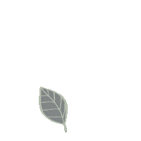 Leaves Leaf Sticker