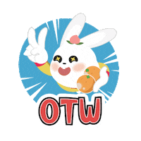 Chinese New Year Rabbit Sticker by riverhongbao