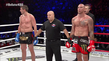 fight italy GIF by Bellator