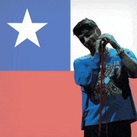 zquadcl zaynchile zquadcl zayn GIF