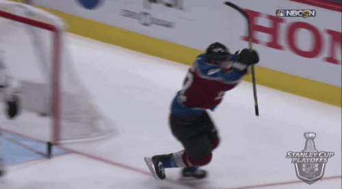 celebrate ice hockey GIF by NHL