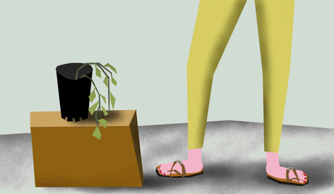 Animation Gym GIF by amandahertelendi