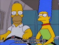 homer simpson episode 23 GIF
