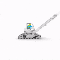 Brrd GIF