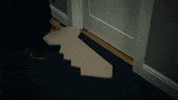 tbs unlocking GIF by Angie Tribeca