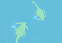 water fish GIF by South Park 