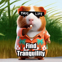 Wisdom GIF by Guinea Gambino