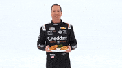 Kyle Busch Nascar GIF by Richard Childress Racing
