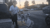 Troubleandrew money skull guccighost troubleandrew GIF
