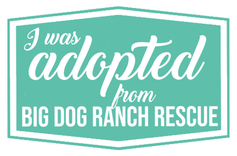 Adopted Dog Sticker by Big Dog Ranch Rescue