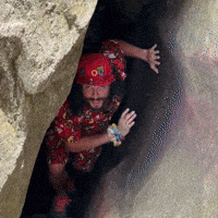 Follow Me Skool GIF by Goose