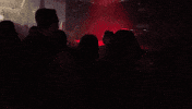 Excited Fun GIF