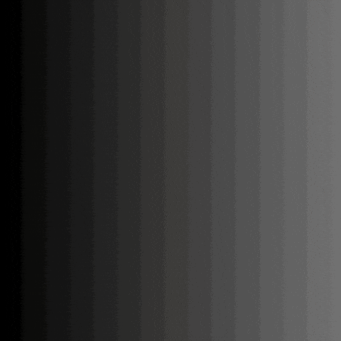 Pearl Earring Art GIF by ElmonX