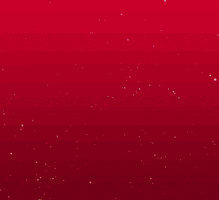 GIF by vrt