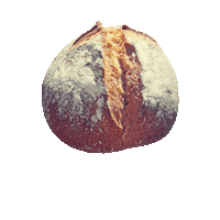 thebreadguysbakery the bread guy thebreadguy thebreadguysbakery the bread guys bakery Sticker