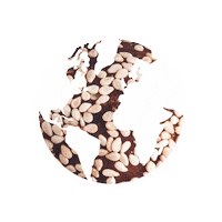 Seedheartsuperfood Sticker by Seedheart